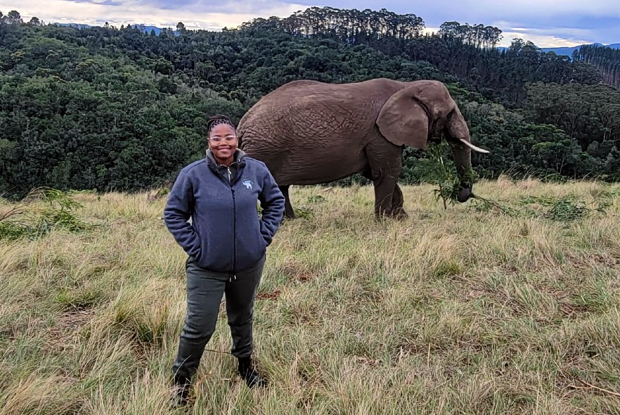 Interview with Simphiwe from our Elephant Care and Research project