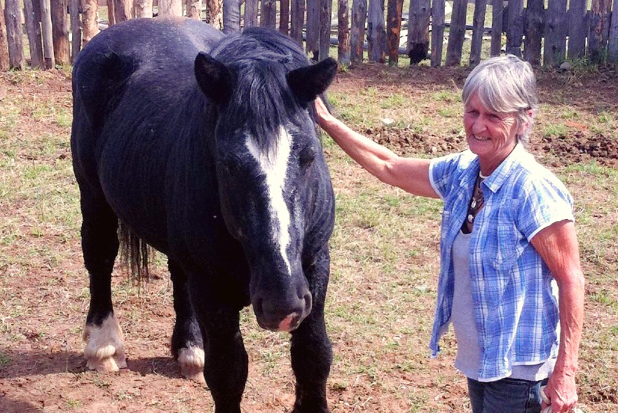 Interview with Georgie who set up the Horse Rehabilitation project 