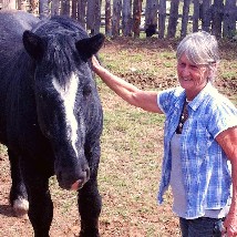 Interview with Georgie who set up the Horse Rehabilitation project 