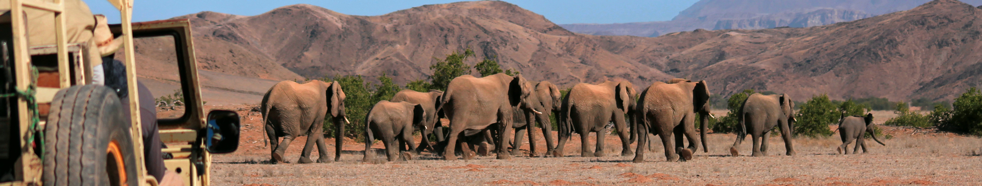 Desert Elephant Conservation - Family Trip