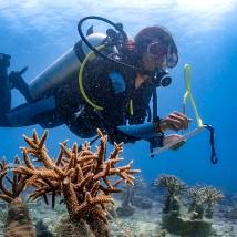 Marine Conservation Volunteering Abroad